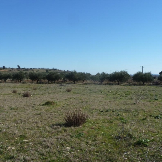  11-34 IMMOBILIER : Terrain | ARGENS-MINERVOIS (11200) | 0 m2 | 64 999 € 