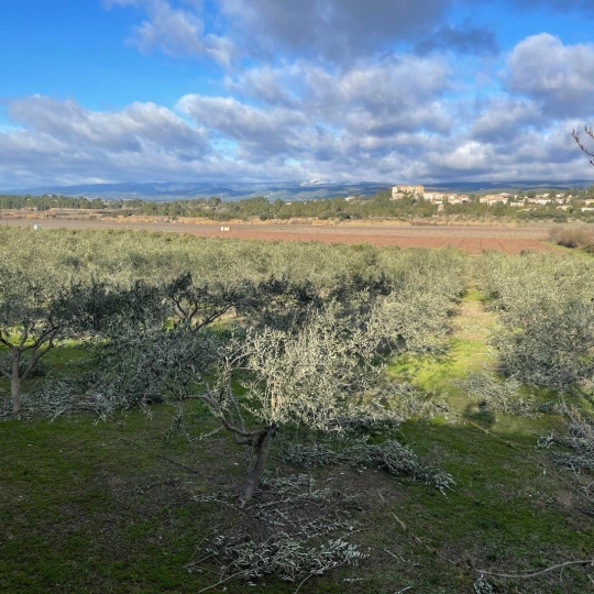  11-34 IMMOBILIER : House | OLONZAC (34210) | 133 m2 | 455 000 € 