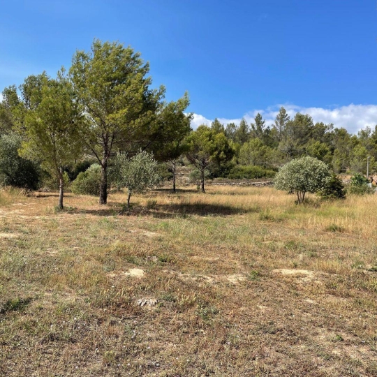  11-34 IMMOBILIER : Terrain | AZILLANET (34210) | 0 m2 | 69 000 € 