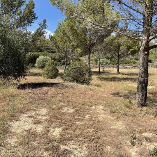 11-34 IMMOBILIER : Terrain | AZILLANET (34210) | m2 | 69 000 € 