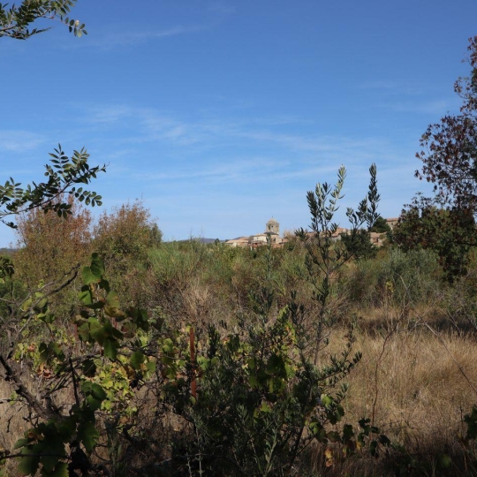 11-34 IMMOBILIER : Terrain | LA LIVINIERE (34210) | m2 | 69 000 € 