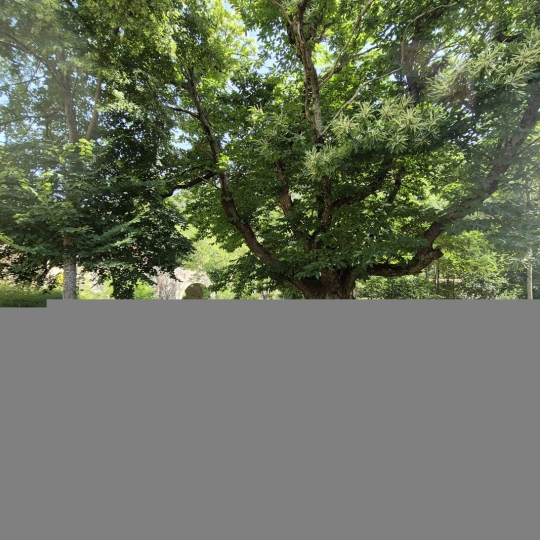  11-34 IMMOBILIER : Maison / Villa | BOISSET (34220) | 40 m2 | 45 000 € 