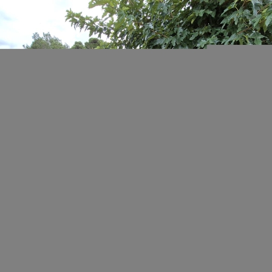  11-34 IMMOBILIER : House | OLONZAC (34210) | 76 m2 | 174 000 € 