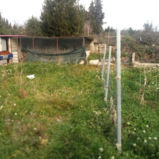  11-34 IMMOBILIER : House | SIRAN (34210) | 165 m2 | 99 000 € 