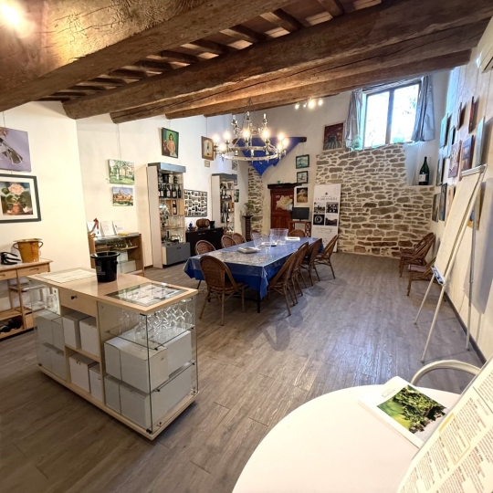  11-34 IMMOBILIER : Domain / Estate | LA LIVINIERE (34210) | 270 m2 | 792 000 € 