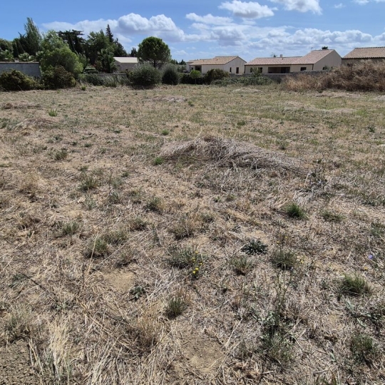  11-34 IMMOBILIER : Terrain | SIRAN (34210) | 0 m2 | 73 000 € 