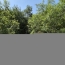  11-34 IMMOBILIER : Maison / Villa | BOISSET (34220) | 40 m2 | 45 000 € 