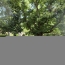  11-34 IMMOBILIER : Maison / Villa | BOISSET (34220) | 40 m2 | 45 000 € 