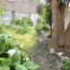  11-34 IMMOBILIER : Maison / Villa | AIGUES-VIVES (34210) | 60 m2 | 99 000 € 