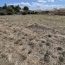  11-34 IMMOBILIER : Terrain | SIRAN (34210) | 0 m2 | 73 000 € 