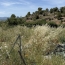  11-34 IMMOBILIER : Terrain | TOUROUZELLE (11200) | 0 m2 | 20 000 &euro; 