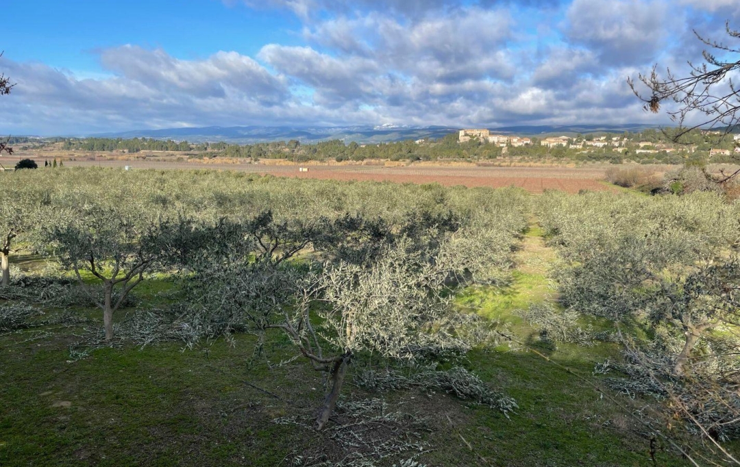 11-34 IMMOBILIER : House | OLONZAC (34210) | 133 m2 | 455 000 € 