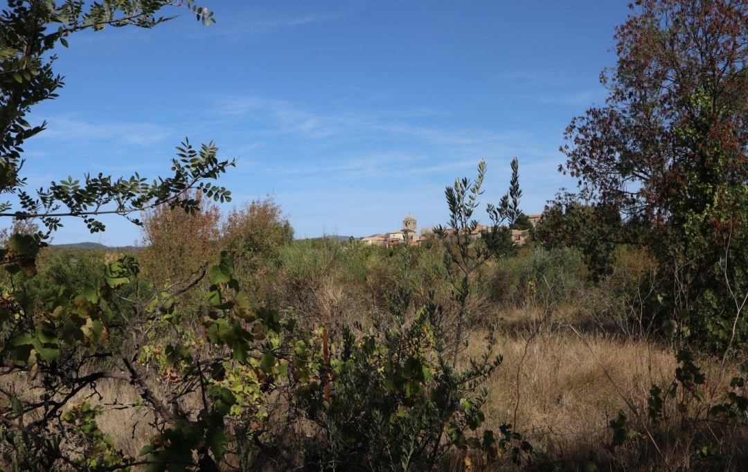 11-34 IMMOBILIER : Ground | LA LIVINIERE (34210) | 0 m2 | 69 000 € 