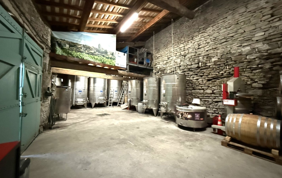 11-34 IMMOBILIER : Domain / Estate | LA LIVINIERE (34210) | 270 m2 | 792 000 € 