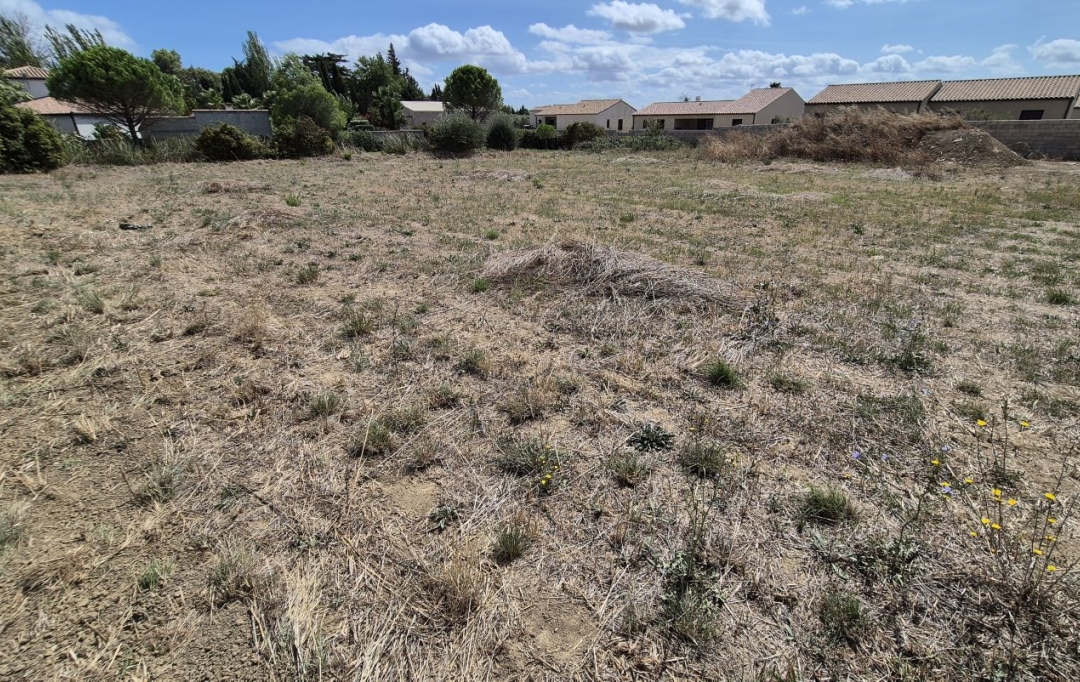 11-34 IMMOBILIER : Terrain | SIRAN (34210) | 0 m2 | 73 000 € 