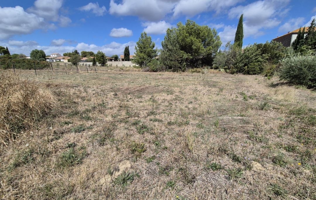 11-34 IMMOBILIER : Terrain | SIRAN (34210) | 0 m2 | 73 000 € 