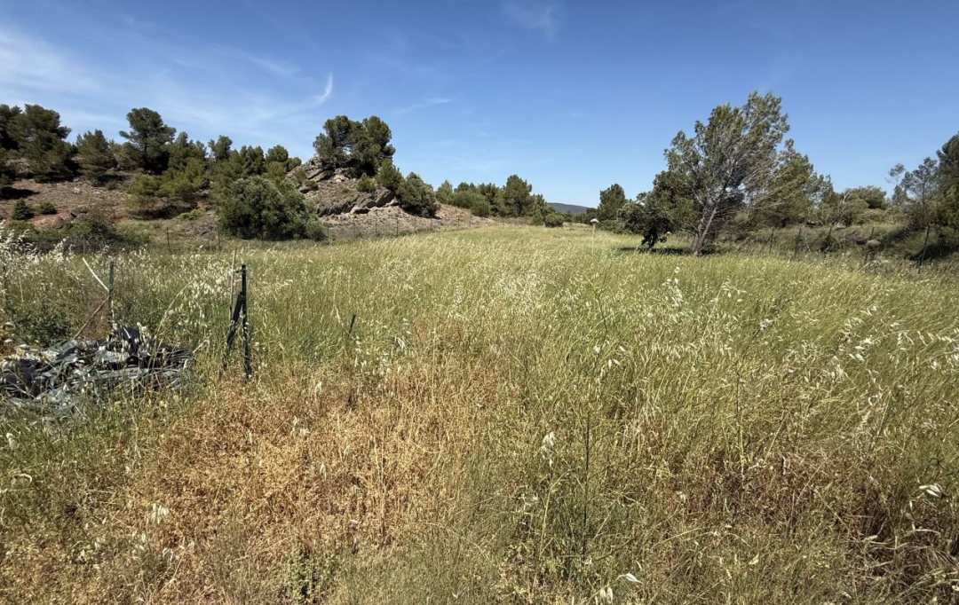11-34 IMMOBILIER : Terrain | TOUROUZELLE (11200) | 0 m2 | 20 000 &euro; 
