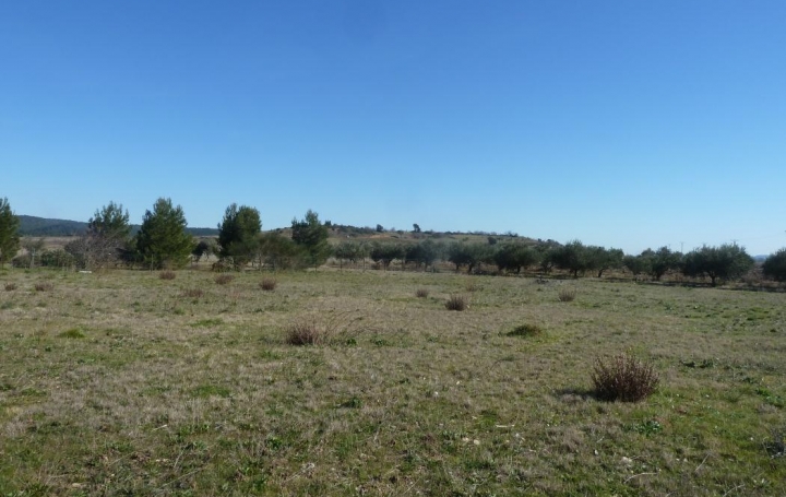 11-34 IMMOBILIER : Ground | ARGENS-MINERVOIS (11200) | 0 m2 | 64 999 € 