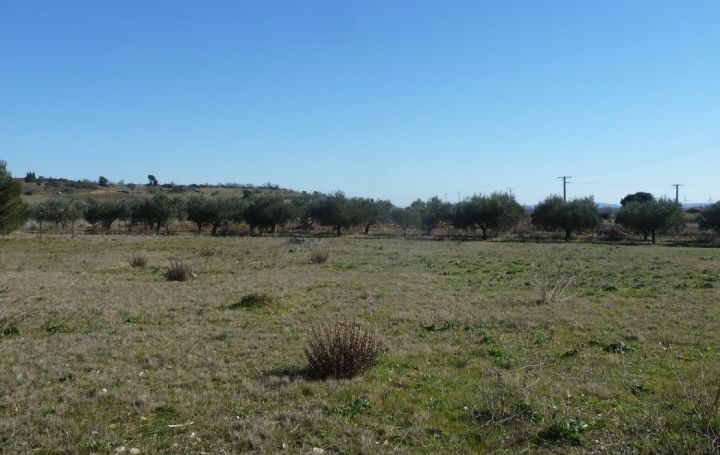 11-34 IMMOBILIER : Ground | ARGENS-MINERVOIS (11200) | 0 m2 | 64 999 € 