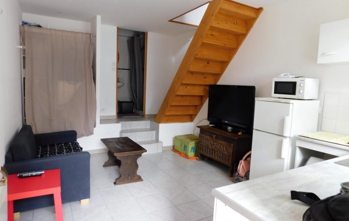 11-34 IMMOBILIER : Maison / Villa | SIRAN (34210) | 29 m2 | 39 000 € 