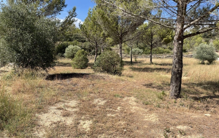  11-34 IMMOBILIER Ground | AZILLANET (34210) | 0 m2 | 79 000 € 