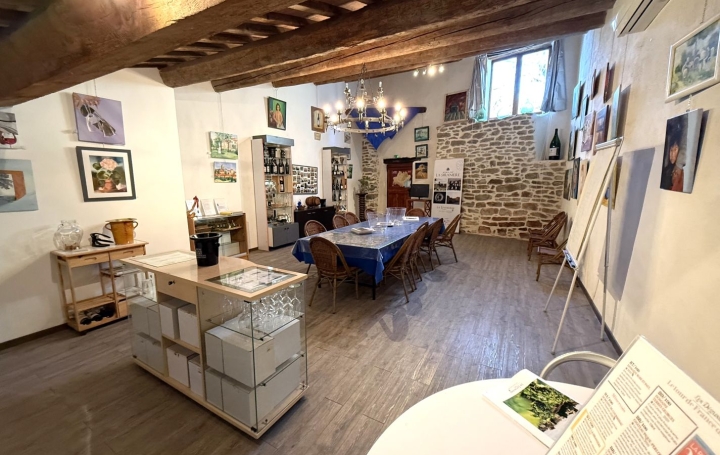  11-34 IMMOBILIER Domain / Estate | LA LIVINIERE (34210) | 270 m2 | 792 000 € 