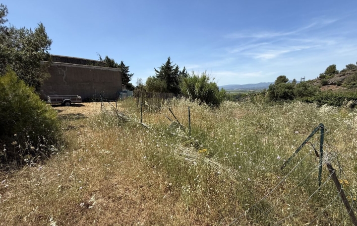  11-34 IMMOBILIER Terrain | TOUROUZELLE (11200) | 0 m2 | 20 000 € 